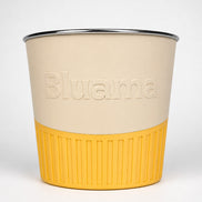 BLUAMA AURA L