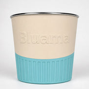 BLUAMA AURA L
