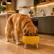 BLUAMA CENIT M