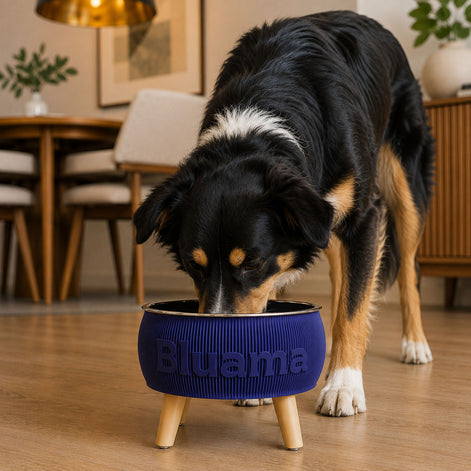 BLUAMA CENIT M