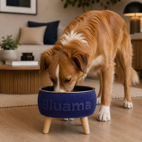 BLUAMA CENIT M