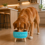 BLUAMA CENIT M