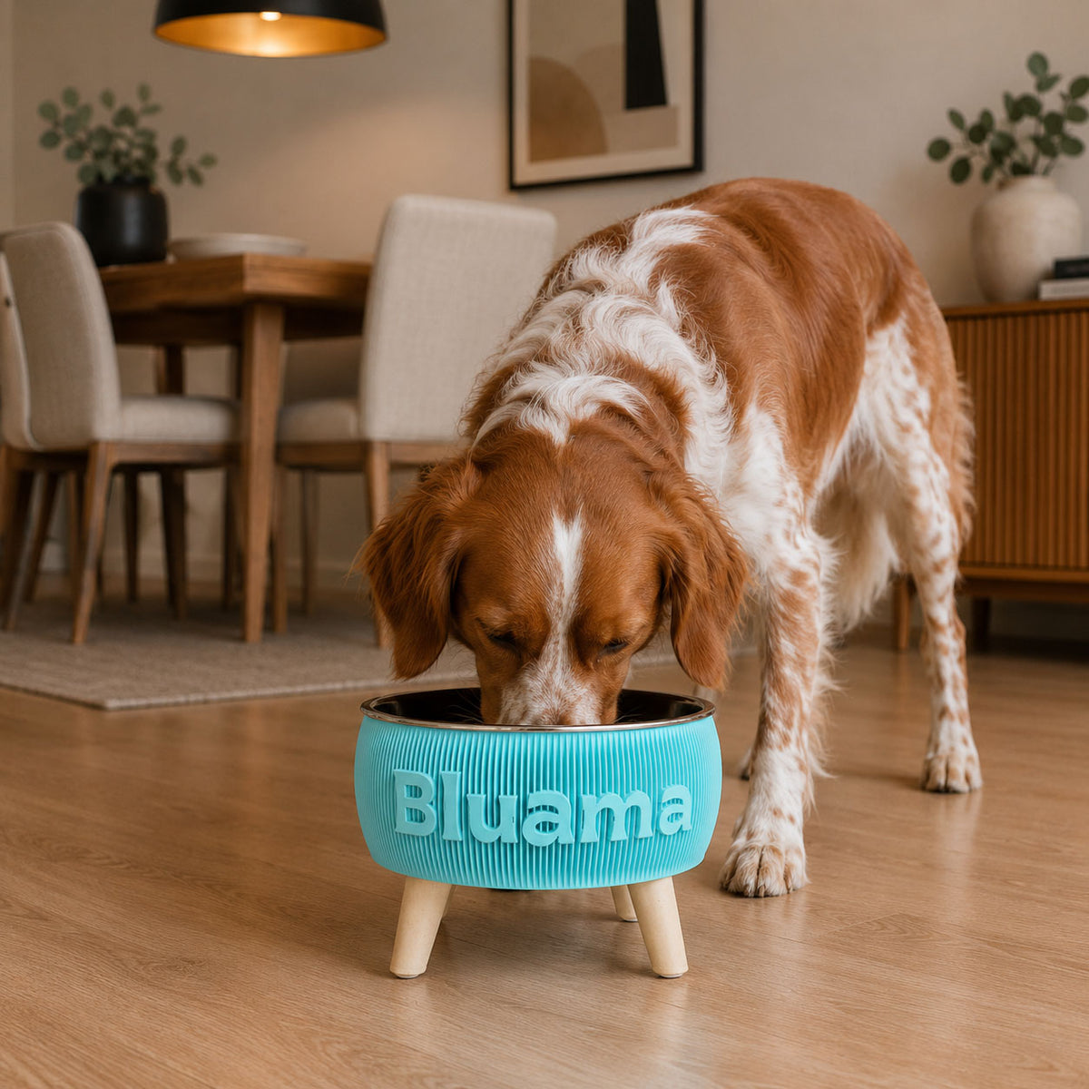 BLUAMA CENIT M