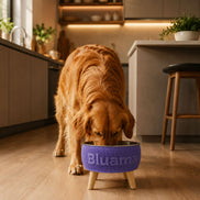 BLUAMA CENIT M