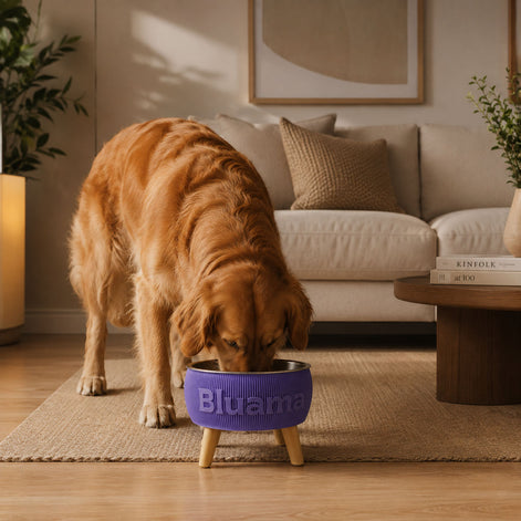BLUAMA CENIT M