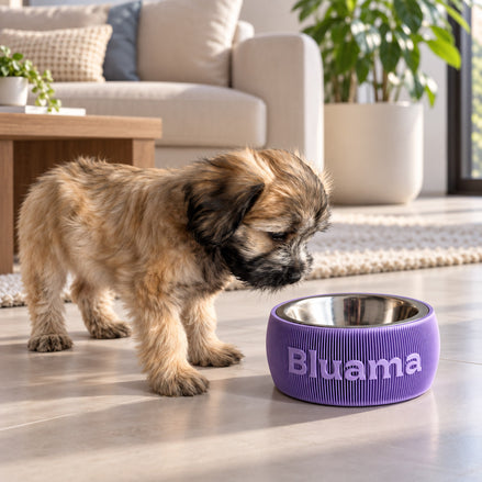 BLUAMA PULSO XS/S